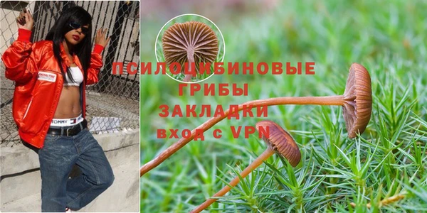 марки nbome Медвежьегорск