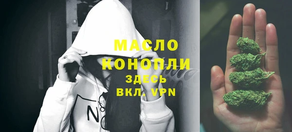 стаф Майский