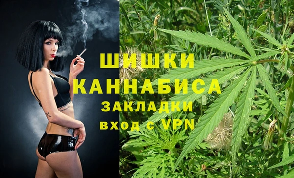 стаф Майский