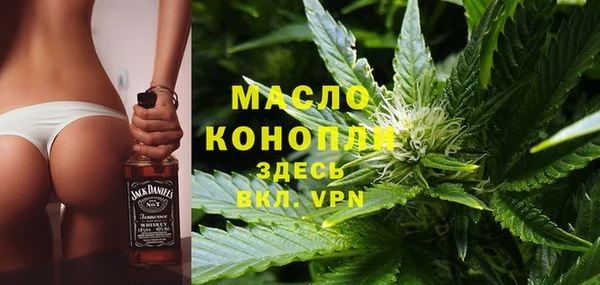 шишки Аша