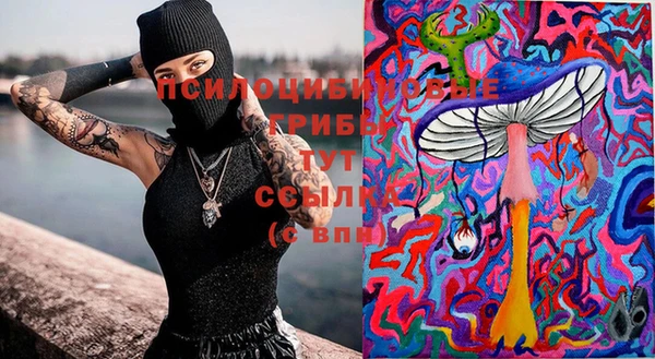 марки nbome Медвежьегорск