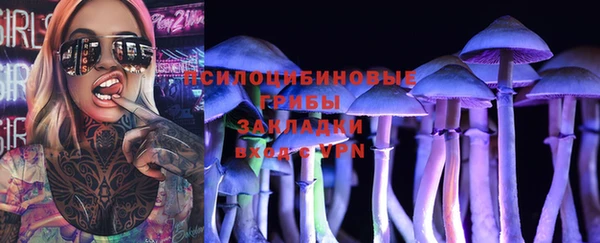 стаф Майский