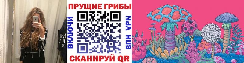 Псилоцибиновые грибы Magic Shrooms  купить   Заозёрный 